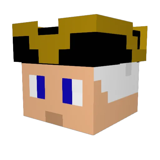 flappingturkey Minecraft avatar head, 3D render