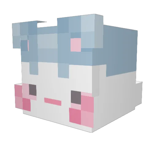 flappy2234 Minecraft avatar head, 3D render