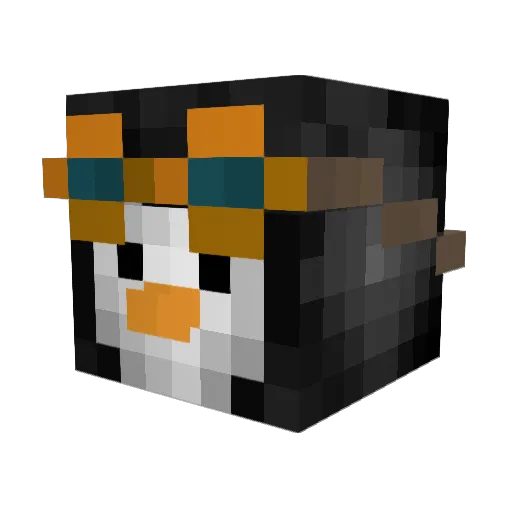 flappy39 Minecraft avatar head, 3D render