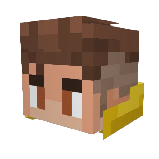 flappybo1 Minecraft avatar head, 3D render