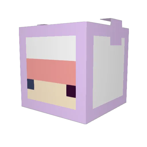 flappycat Minecraft avatar head, 3D render