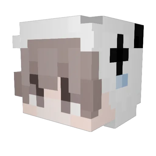 flare0nn Minecraft avatar head, 3D render