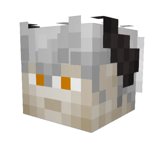 flaredrag Minecraft avatar head, 3D render