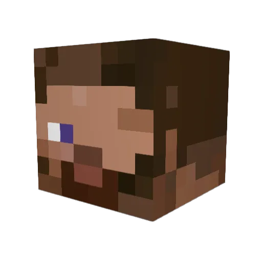 flarglesnarg Minecraft avatar head, 3D render