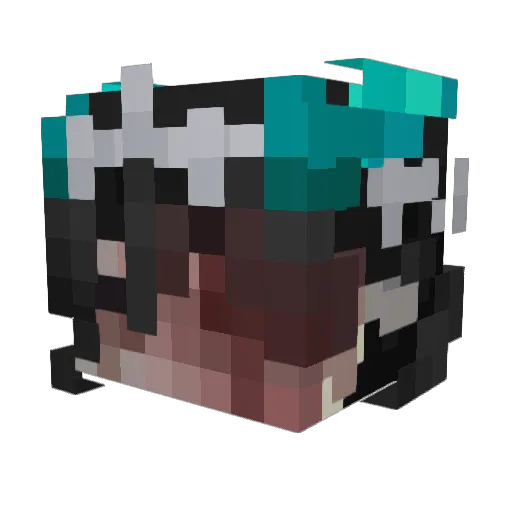flarky_dt Minecraft avatar head, 3D render