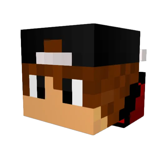 flash10bob2 Minecraft avatar head, 3D render