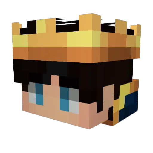 flash2314 Minecraft avatar head, 3D render