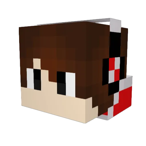 flash84 Minecraft avatar head, 3D render