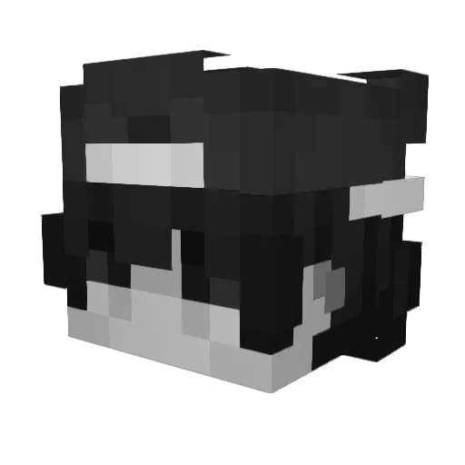flashboyyyyy Minecraft avatar head, 3D render