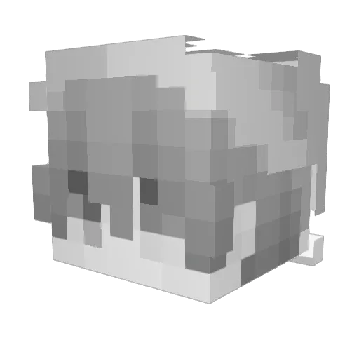 flashbvcks Minecraft avatar head, 3D render