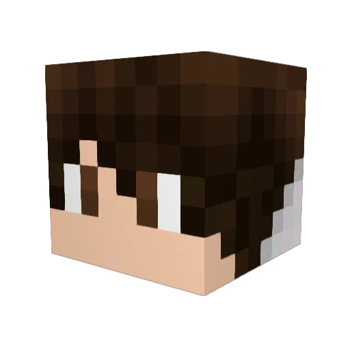 flashemir Minecraft avatar head, 3D render