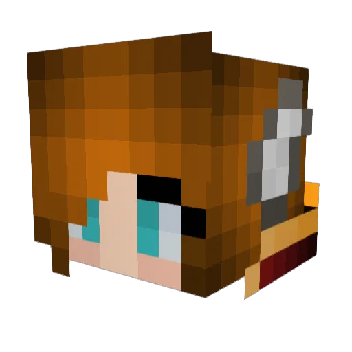 flashingwings Minecraft avatar head, 3D render