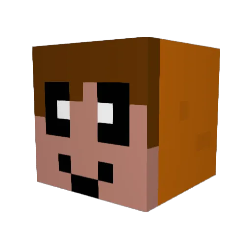 flashka272 Minecraft avatar head, 3D render