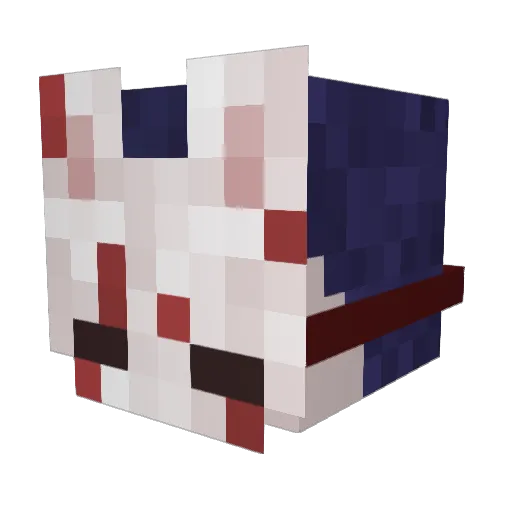 flashy_70 Minecraft avatar head, 3D render
