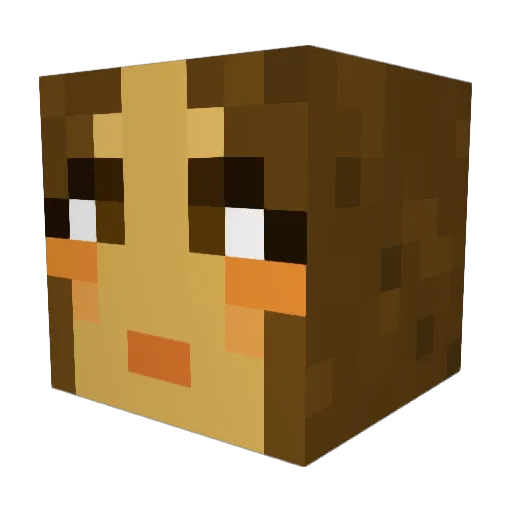 flashyashy Minecraft avatar head, 3D render