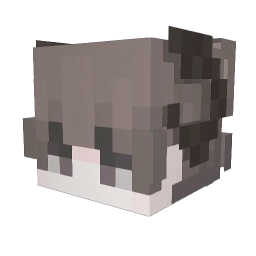 flat3_3 Minecraft avatar head, 3D render