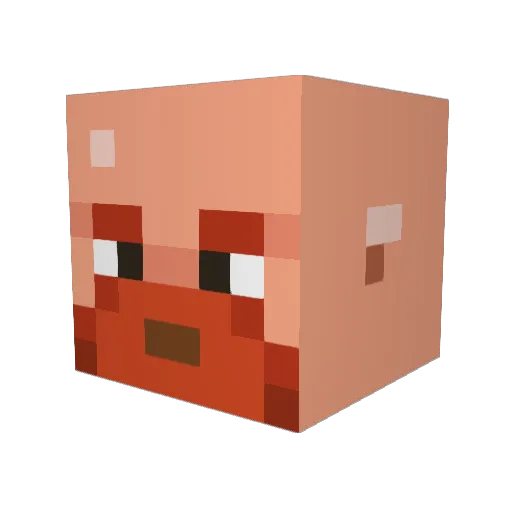 flatearther__ Minecraft avatar head, 3D render