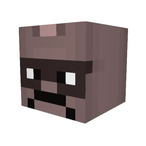 flatire23 Minecraft avatar head, 3D render