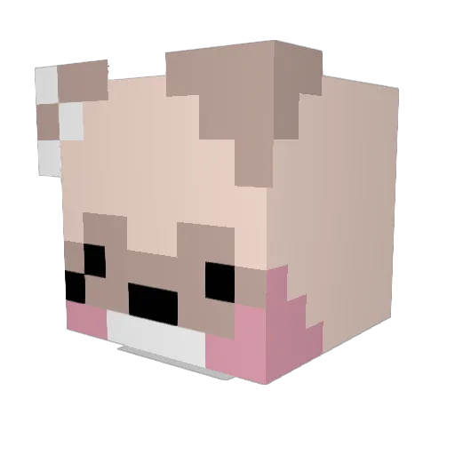 flava20 Minecraft avatar head, 3D render