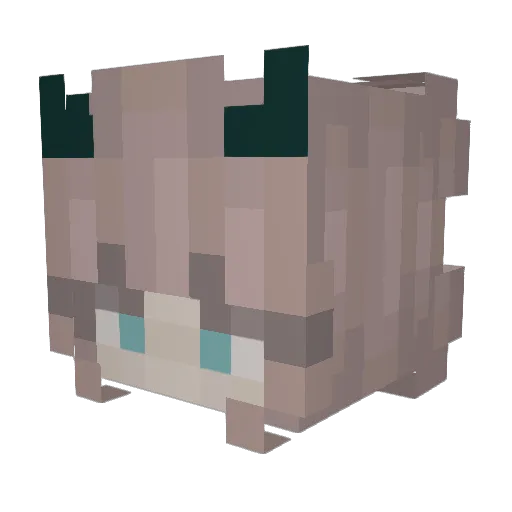 flavanr Minecraft avatar head, 3D render