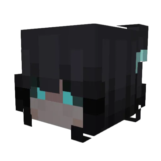 flayzon74 Minecraft avatar head, 3D render
