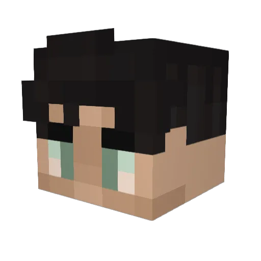 Minecraft-Avatar von flcme: Kopf als 3D-Render