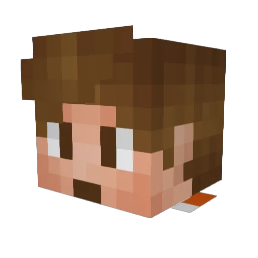 fleaoi Minecraft avatar head, 3D render