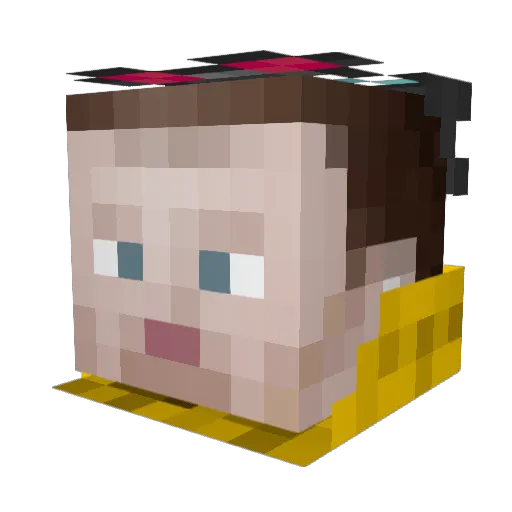 flee28933 Minecraft avatar head, 3D render
