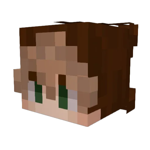 fleecefaint Minecraft avatar head, 3D render