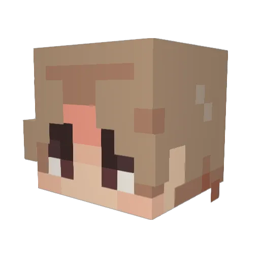 fleecy_hertz9 Minecraft avatar head, 3D render