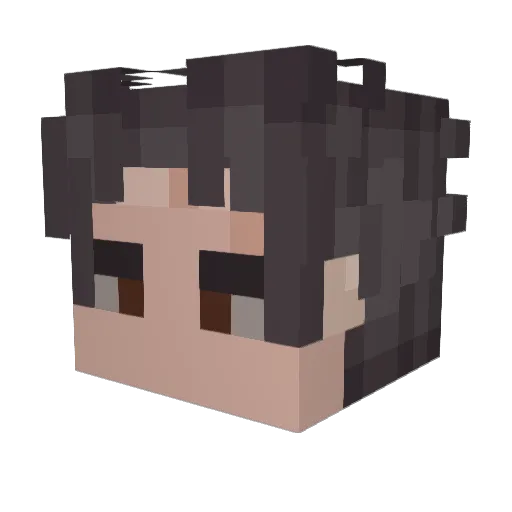 fleet_you Minecraft avatar head, 3D render