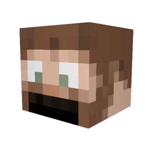 fleeting_FOX Minecraft avatar head, 3D render