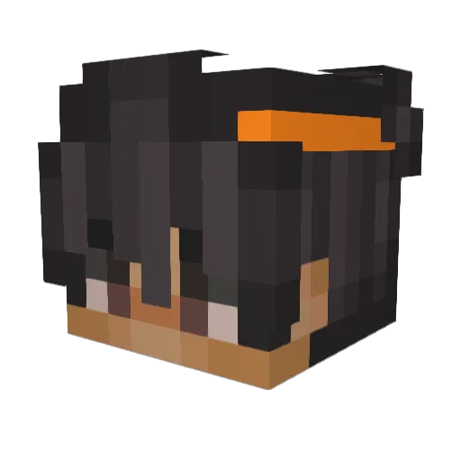 fleets_yt Minecraft avatar head, 3D render