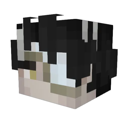 fleetstorm Minecraft avatar head, 3D render