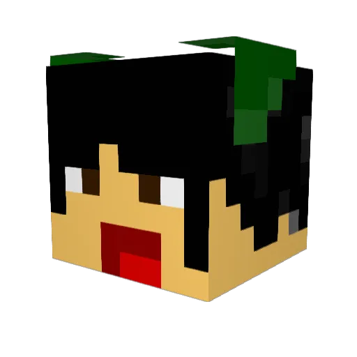 fleety4 Minecraft avatar head, 3D render
