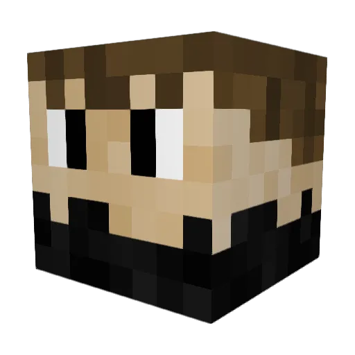 flefle48489 Minecraft avatar head, 3D render