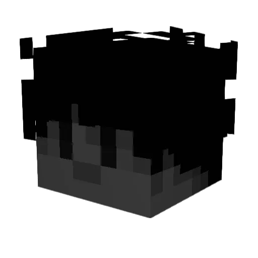 fleigi Minecraft avatar head, 3D render