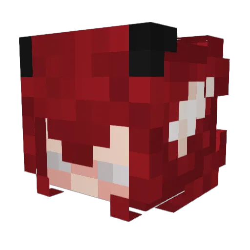 flerreinn Minecraft avatar head, 3D render