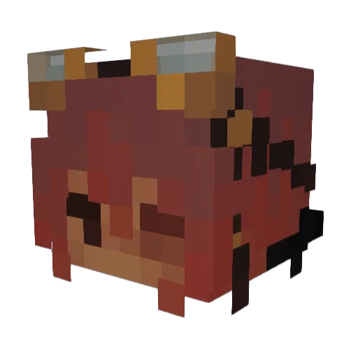 fleshcousin Minecraft avatar head, 3D render