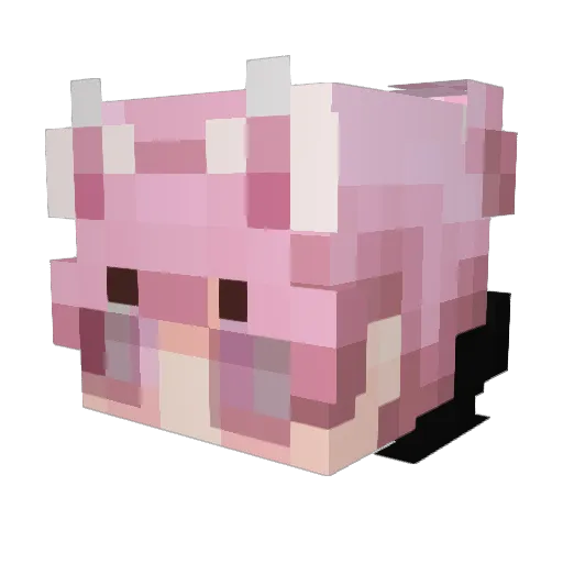 fleshmother Minecraft avatar head, 3D render