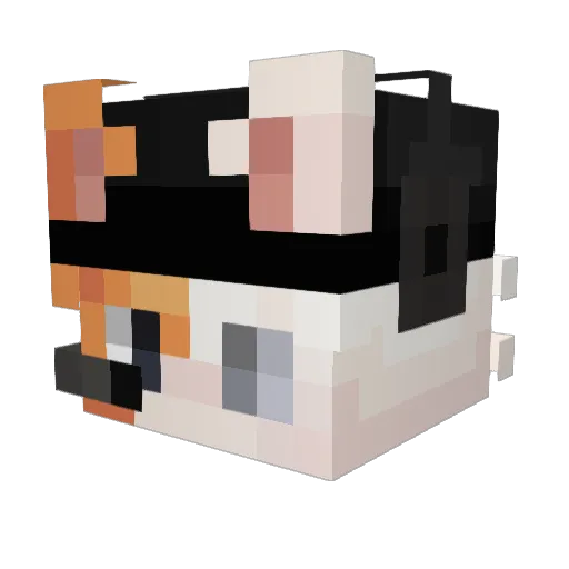 fleshusha Minecraft avatar head, 3D render