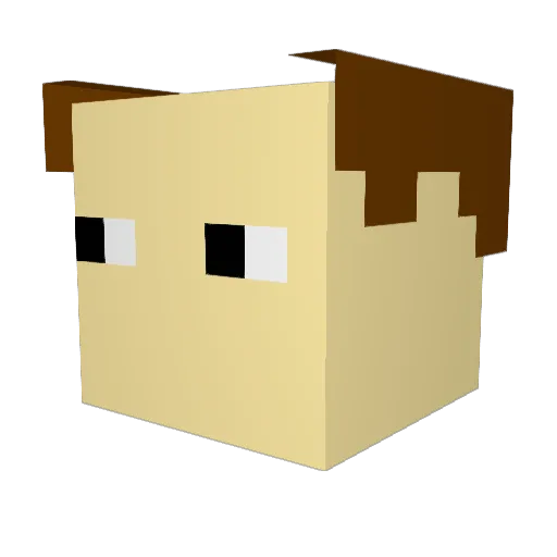 fleszko_ Minecraft avatar head, 3D render