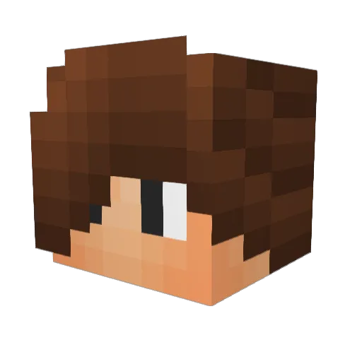 fletch2002 Minecraft avatar head, 3D render
