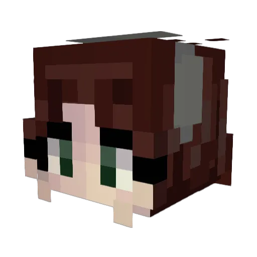 fletchie2002 Minecraft avatar head, 3D render