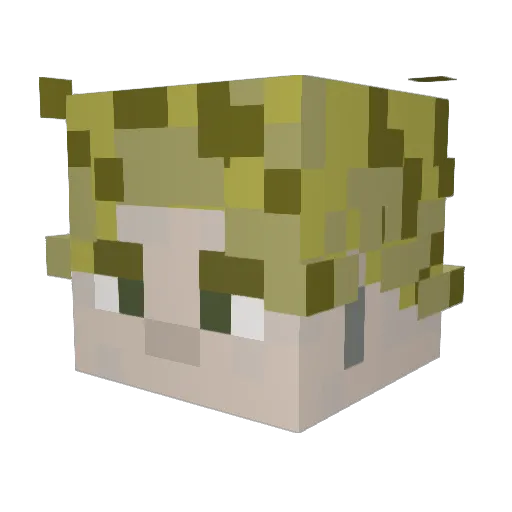 fletchtooth Minecraft avatar head, 3D render