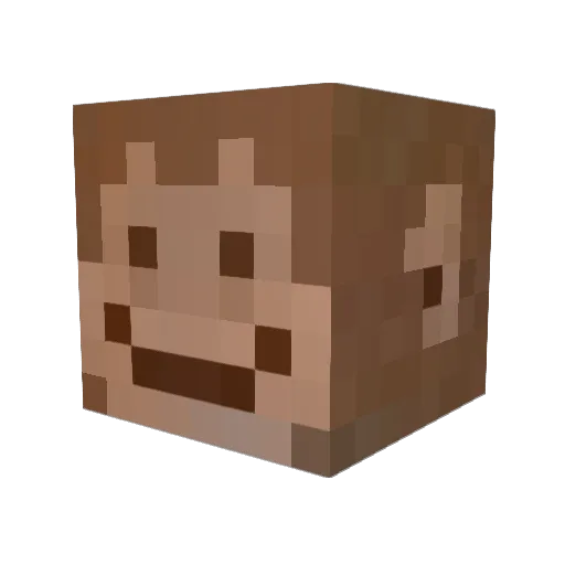 fletero Minecraft avatar head, 3D render