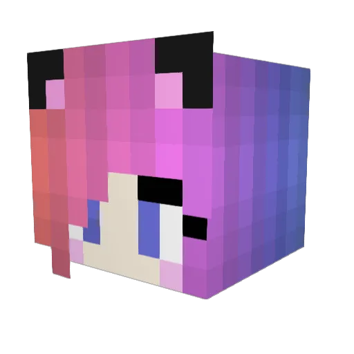 fleur060203 Minecraft avatar head, 3D render