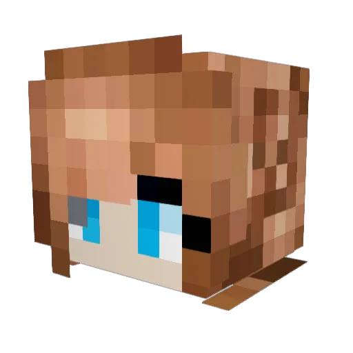 fleurescent21 Minecraft avatar head, 3D render