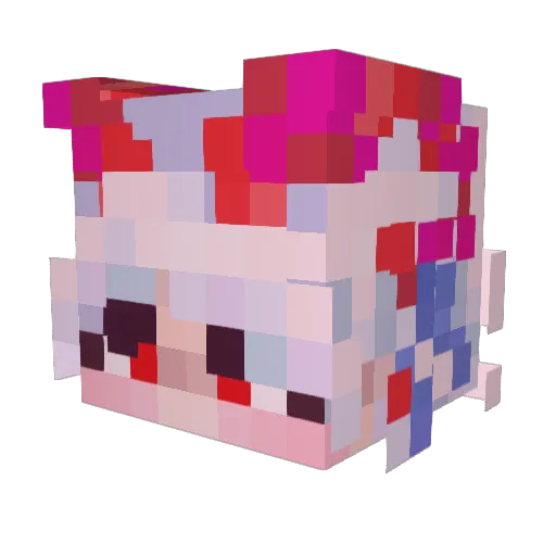 fleurivoile Minecraft avatar head, 3D render