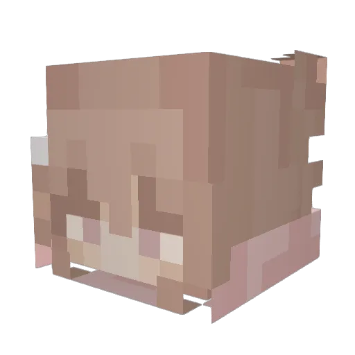 fleurro Minecraft avatar head, 3D render